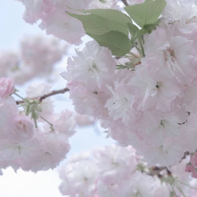 Furry色彩对比技巧兽圈群